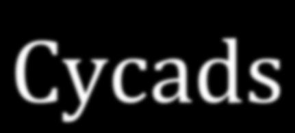 +Cycads n