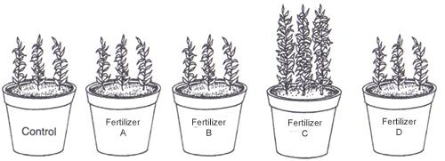 the best fertilizer (that we tested) for that type of plant.
