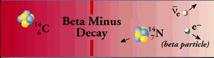 Beta Decay Beta decay occurs when, in a nucleus with too many protons or too many neutrons, one of the protons or neutrons is transformed into the other.