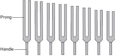 3 Figure shows a set of tuning forks. Figure A tuning fork has a handle and two prongs. It is made from metal.