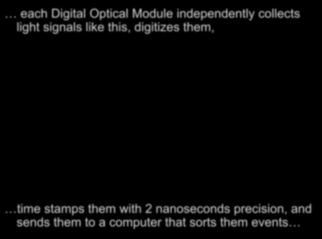 each Digital Optical Module independently