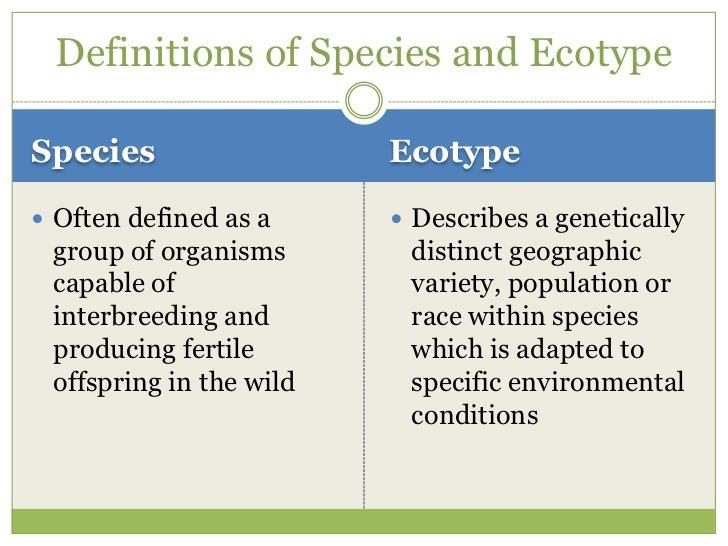 Ecological Species Concept Ecotype: An ecotype is a population of individuals of a species which are genetically different.