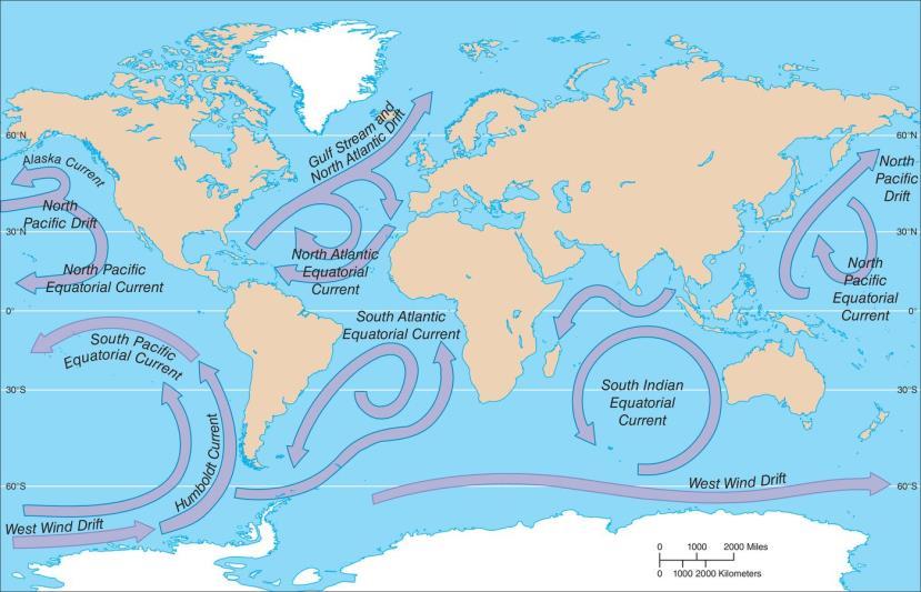 Patterns of Ocean Circulation Prevailing winds caused by the earth s rotation produce ocean currents and generate large areas of circulating water gyres Example: the