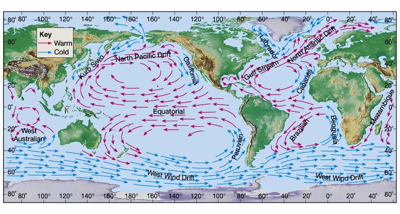 Pacific Ocean Every ~2-7 years The Usual Pattern of Ocean Circulation