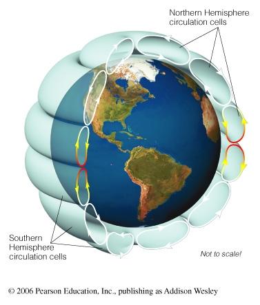 Coriolis Effect breaks up Global Circulation On Earth the large circulation cell breaks up into 3 smaller