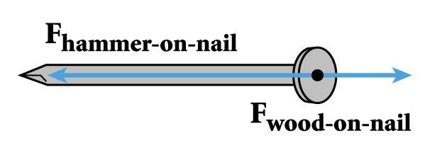 Section 3 Newton s Second and Third Laws Action and Reaction Forces Action-reaction pairs do not imply that the net force on either object is zero.