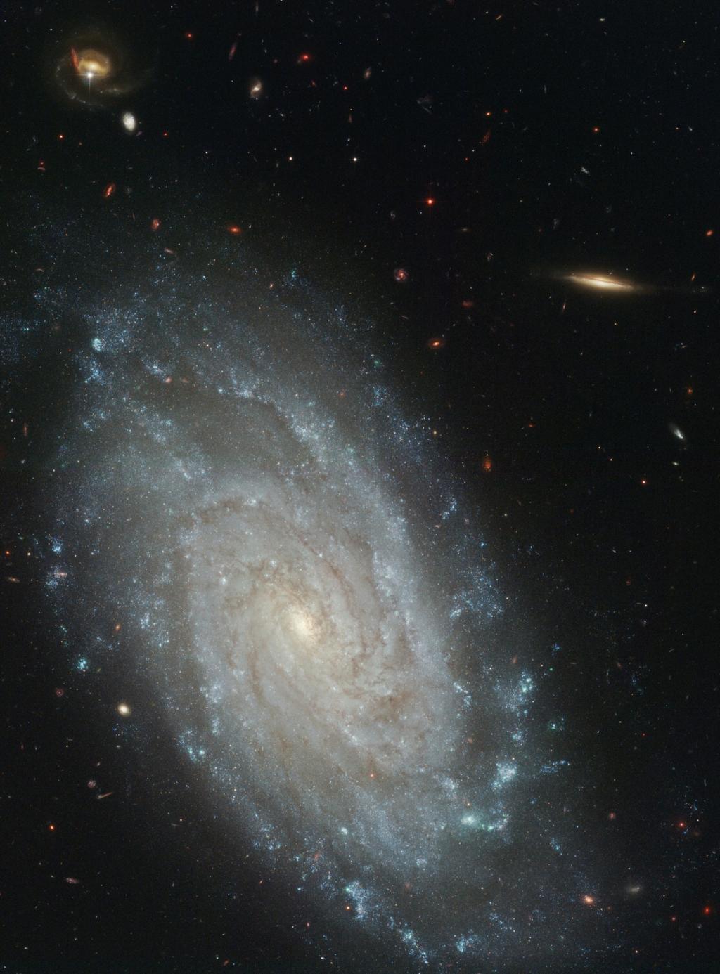 NGC 3370 : SN 1994ae NGC 3021 : SN