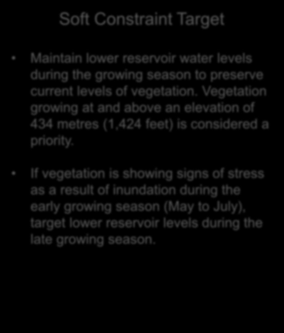 COLUMBIA RIVER WATER USE PLAN VEGETATION Soft Constraint Target Maintain lower reservoir water levels during the growing season to preserve current levels of vegetation.