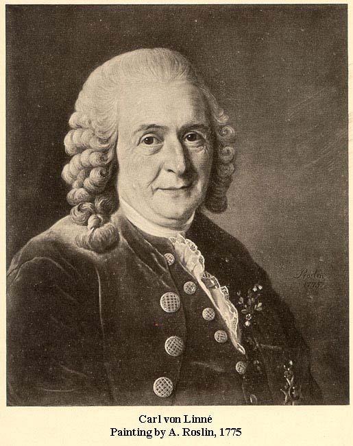 Carl Linnaeus Swedish botanist