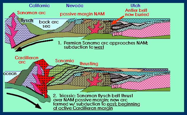 Mesozoic Tectonics Tectonics in North America during the Mesozoic was dominated by docking events involving terranes.