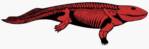 How can complex structures like a limb develop? The first fossil that indicates a land-dwelling habitat is a Devonian organism called Ichthyostega.