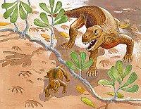 The earliest mammals evolved from a group of dinosaurs called the therapsids in the