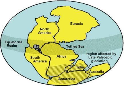 Pangea supercontinent
