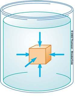 Pressure & Pascal s Principle P= F A Pressure applied to any part of an enclosed fluid is