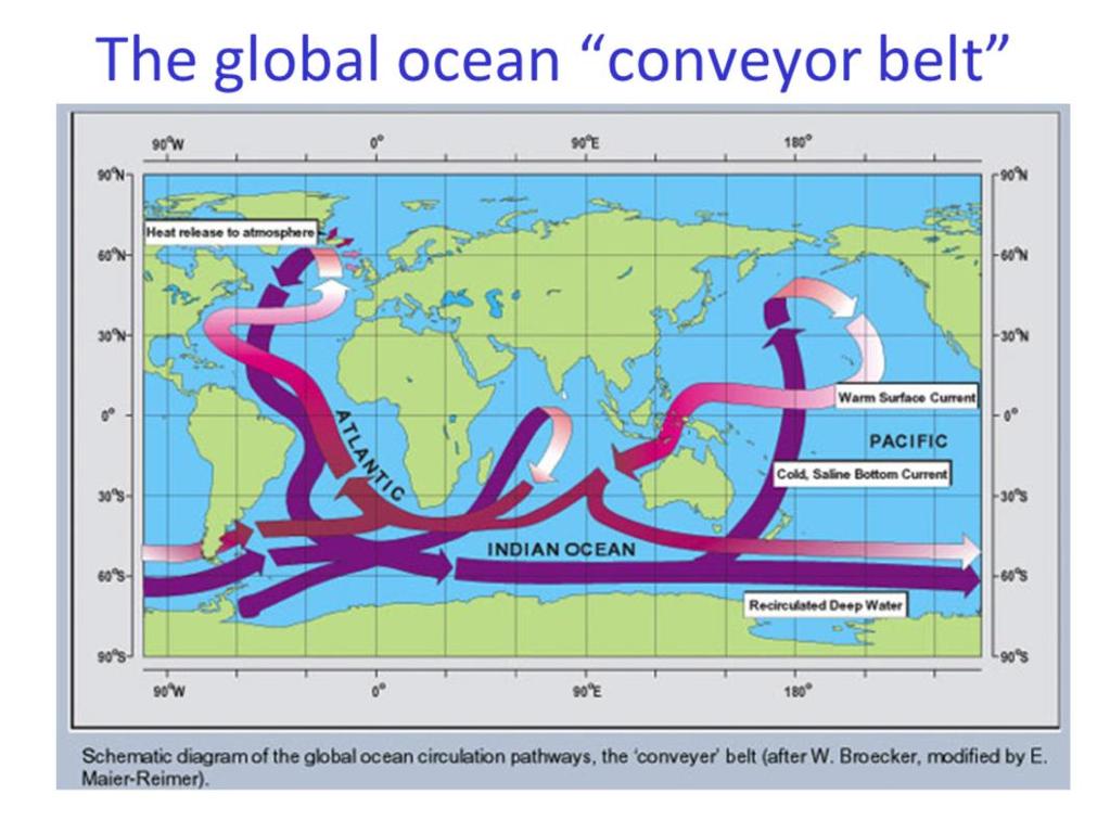 The thermohaline circulation is sometimes called the ocean conveyor belt, the global conveyor belt, or, most commonly, the meridional overturning circulation (often abbreviated as MOC).