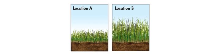Inferring and Forming a Hypothesis Researchers inferred that something limits grass growth in some places