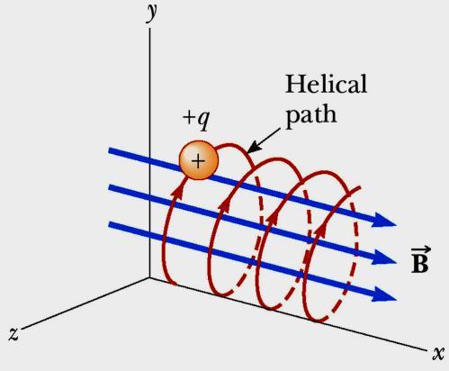 spiral The spiral path is called a helix Torque on a Current Loop; Magnetic Moment The forces on opposite sides of a current loop will be equal and opposite (if the field is uniform and the loop is