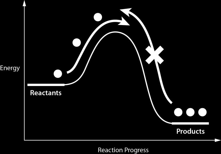 Irreversible reactions (shown with a forward arrow ) that go to completion reach a static equilibrium.