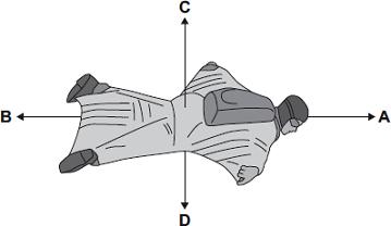 (b) BASE jumpers jump from very high buildings and mountains for sport. The diagram shows the forces acting on a BASE jumper in flight. The BASE jumper is wearing a wingsuit.