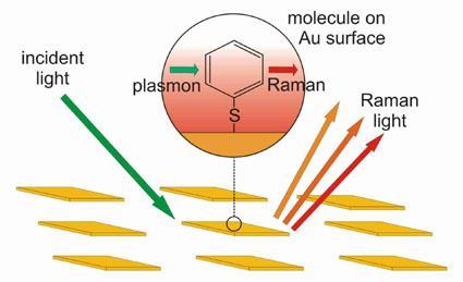 Surface Enhanced Raman Scattering (SERS) SERS is a surface sensitive technique that results in the enhancement of Raman scattering by molecules adsorbed on rough metal surfaces.