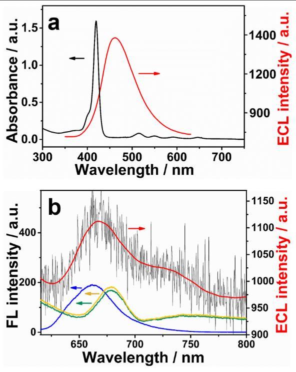 2.9 A Comparison of UV-Vis and FL Spectra with ECL Spectra Figure S11. A comparison of ECL emission spectra with UV-vis absorption spectrum and FL spectra.