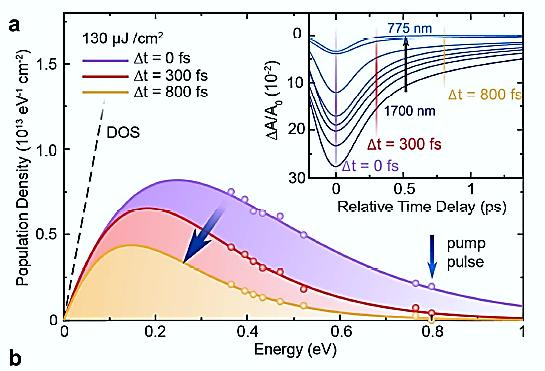 Aachen Extract temporal evolution of the carrier density from multi-color pump-probe
