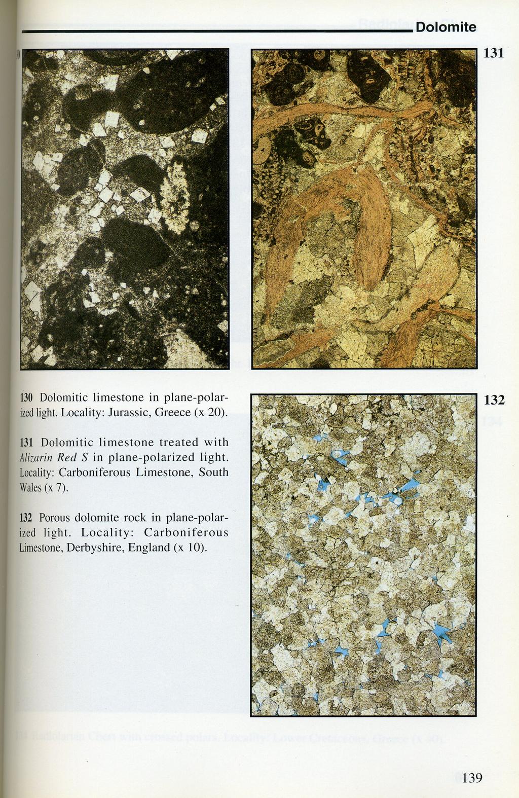 Carbonate Rocks in Thin Section All are PPL Dolomitic Limestone