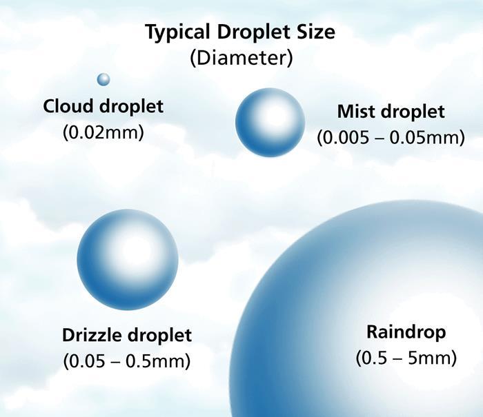 Warm air that holds a lot of water vapor rises Why do clouds form?