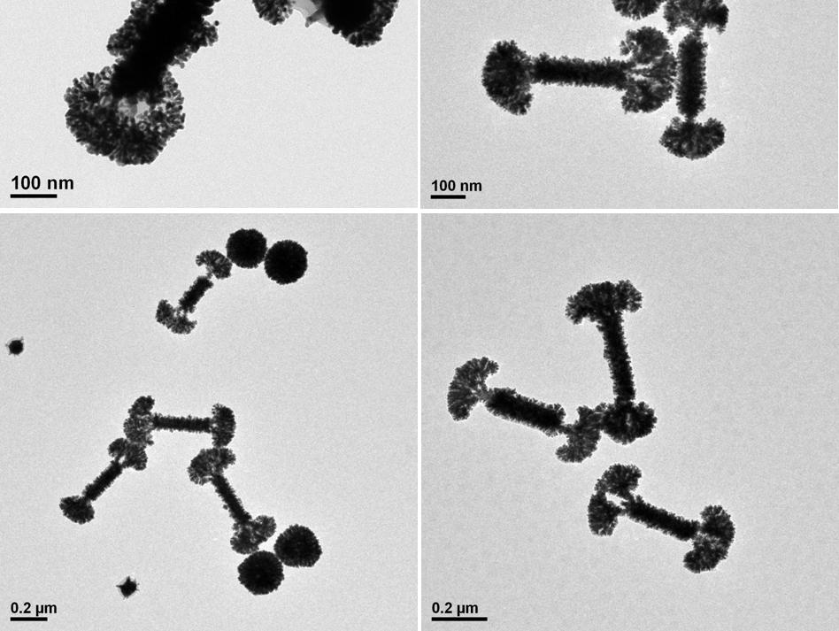 Figure 1g; (b1-b3) TEM images of a different batch of G3 products grown under