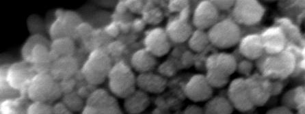 electron microscopy. Fig. 3. SEM of the polymer spheres synthesized by RAFT methodology.