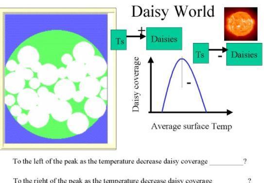 An analysis of white daisy coverage using feedback loops. (Figure 2 of 3) There is an optimum temperature for daisy growth.