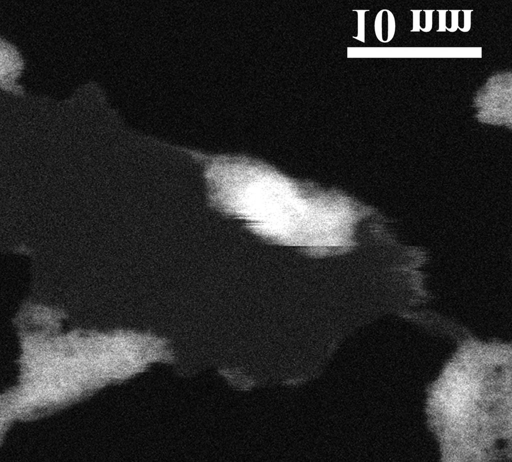 Fe contamination Graphene Vacuum Supplementary figure S16: Chemically etched holes near the region of scanning transmission electron microscope (STEM) imaging.