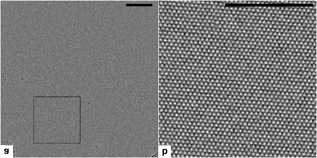 Supplementary figure S17: Low magnification aberration-corrected transmission electron microscope (AC-TEM) images of large area clean graphene.