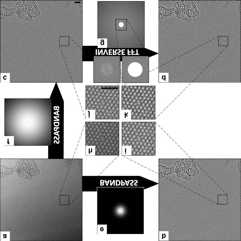 Supplementary figure S18: Aberration corrected transmission electron microscope (AC-TEM) image processing. A flow chart showing the two processing techniques used to analyse TEM images.