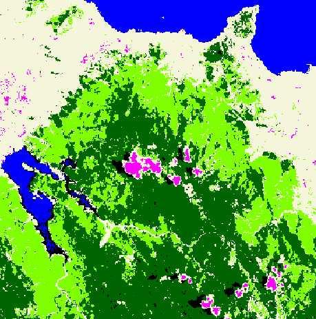 Using the pixel values from these samples the supervised classification algorithm analyzes each pixel in the satellite image to determine which land cover class it most closely represents.