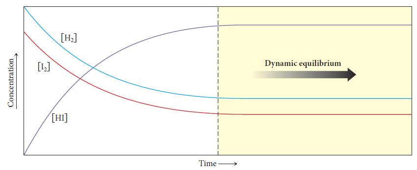 Dynamic equilibrium H 2 (g) + I 2 (g) 2 HI(g) As the concentration of product increases and the concentrations