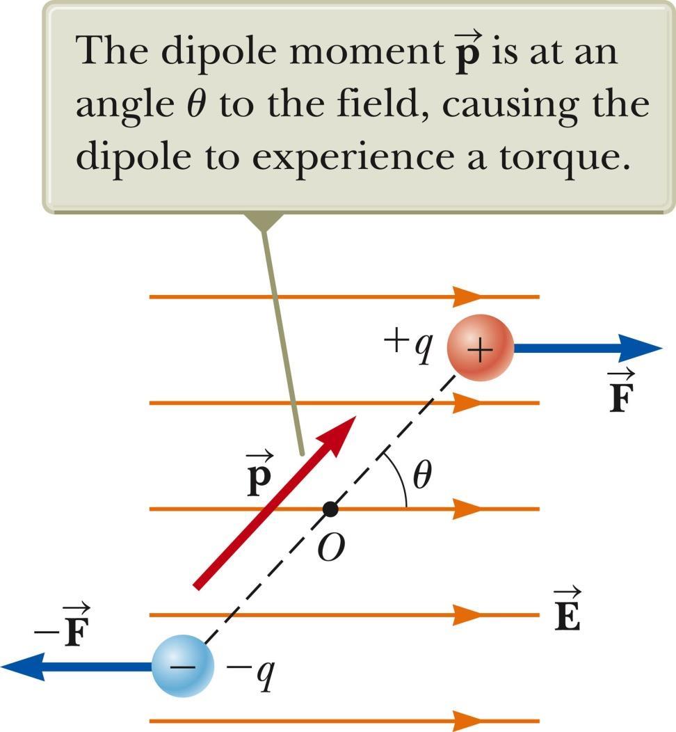 Electric Dipole, 3 Each charge has a force of F = Eq acting on it. The net force on the dipole is zero.