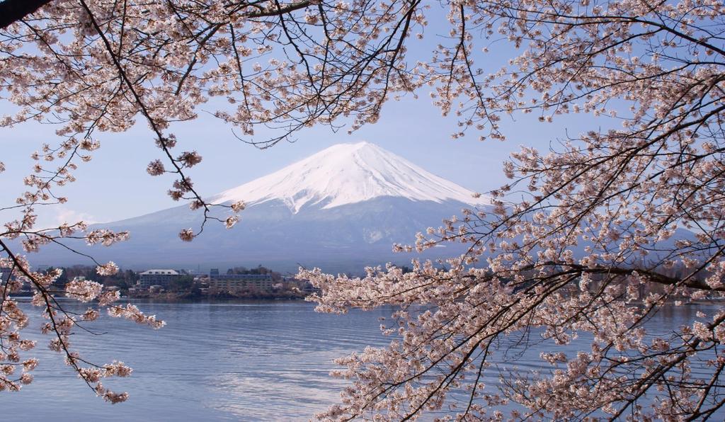 Location Mount Fuji is