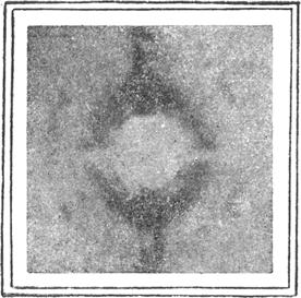 452 K. Vedam as shown in Fig. 2. (In both cases the central spot or zero ordej is cut off by means of suitable obstacles, immediately in front of the photographic plate, to avoid fogging of the plate.