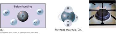 Covalent Water Covalent Ammonia Covalent Methane Multiple covalent