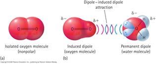 Dipole-dipole attraction Dipoles of water attract one another Electrical attractions between molecules that does not result