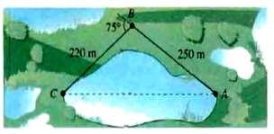 DR. YOU: 018 FALL 183 EXAMPLE 4 YOUR TURN 4 Find the distance across the lake from A to C, to the nearest yard, using the measurement shown in the figure.