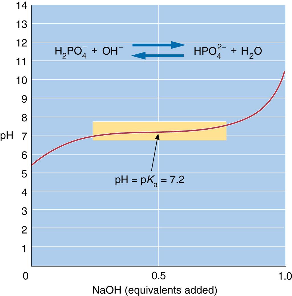 intracellular fluids Consists of H 2 PO 4- /HPO 4 2- (weak acid/conjugate base)