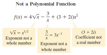 domain of a polynomial function is.