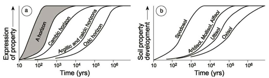 Approximate Time to Form Soil Features General formation curves compiled from studies of chronosequences The time required to form diagnostic