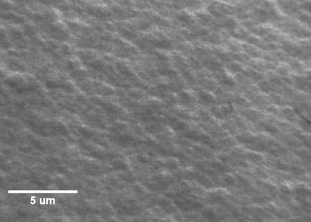 SEM photos of the surfce of ZrTiCuNiBe crystllized () nd morphous () mirror smples (ISSPMT) fter long term omrdment with Ar + ions under similr experimentl conditions.