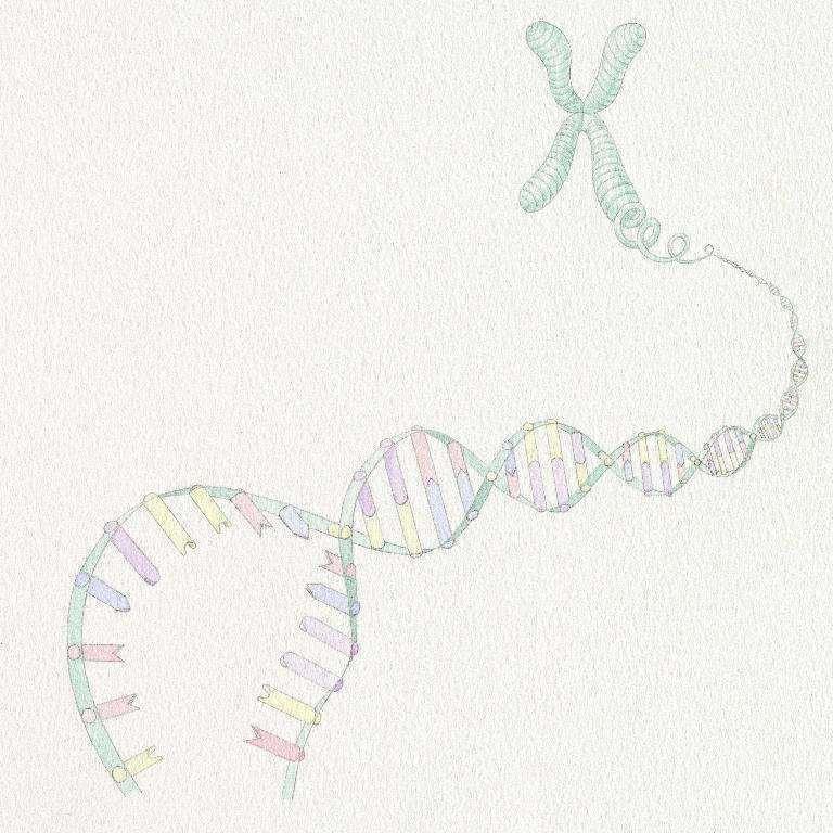DNA: Similar genes