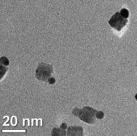 heterodimers attached on macrophage cells [1] Sotiriou, WIREs Nanomed.