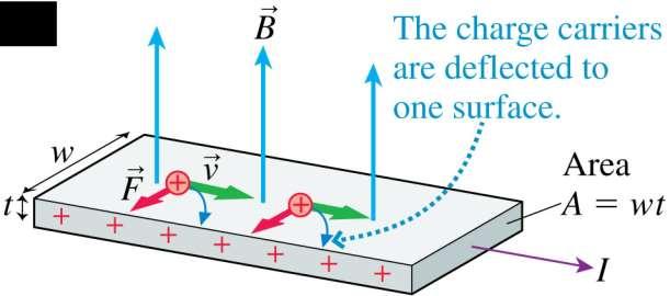 The Hall Effect Consider a magnetic field perpendicular to a