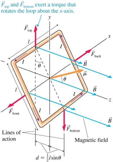 A Uniform Magnetic Field Exerts a Torque on a Square Current Loop The total torque is: = 2Fd = (Il 2 )Bsin = Bsin where = Il 2 = IA